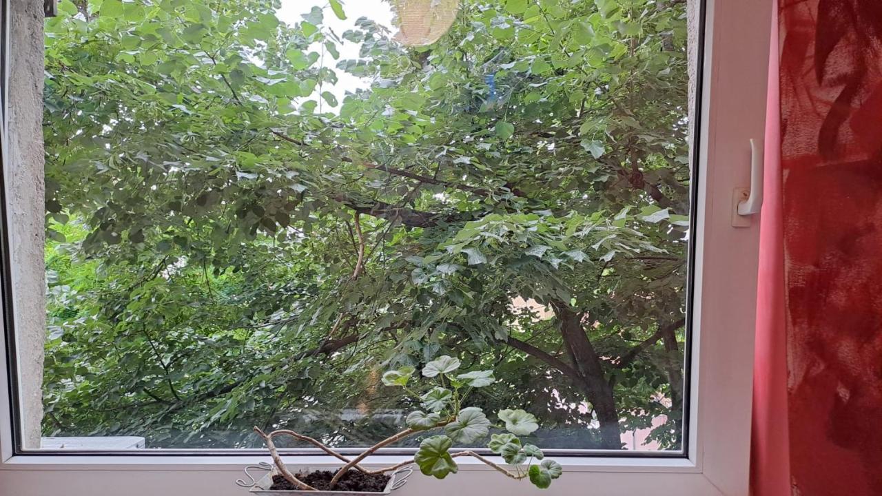 Appartement Daria Lorenzo Timişoara